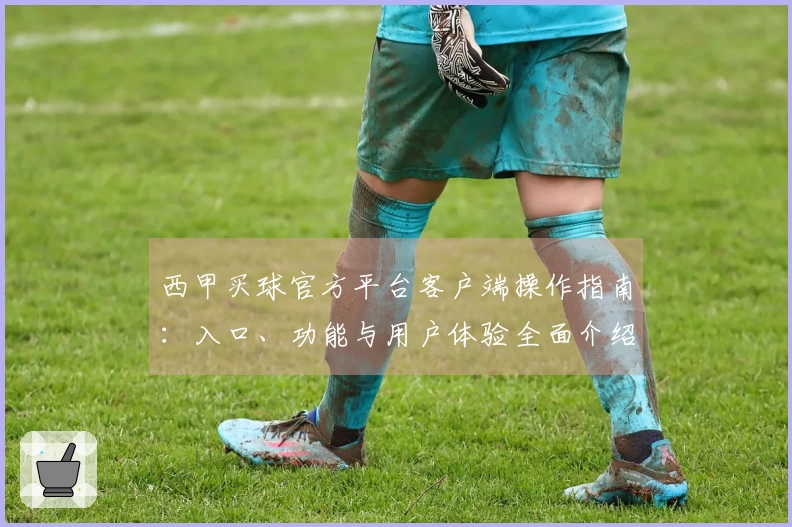 西甲买球官方平台客户端操作指南：入口、功能与用户体验全面介绍