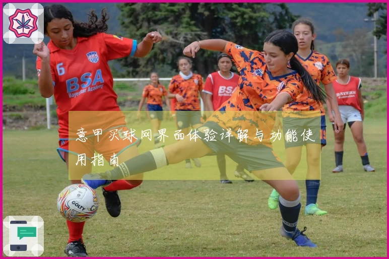 意甲买球网界面体验详解与功能使用指南