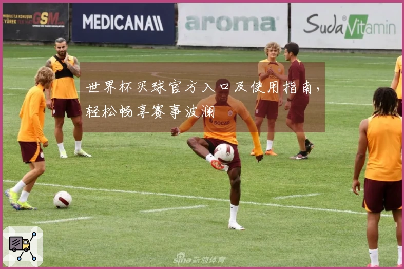 世界杯买球官方入口及使用指南，轻松畅享赛事波澜