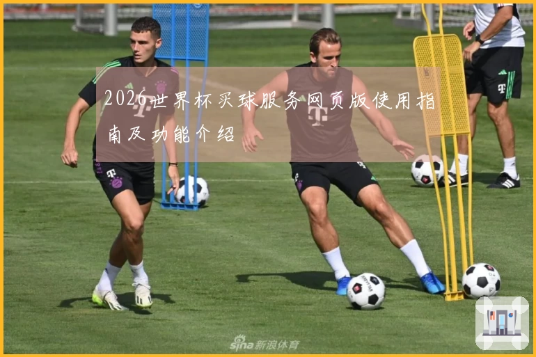 2026世界杯买球服务网页版使用指南及功能介绍
