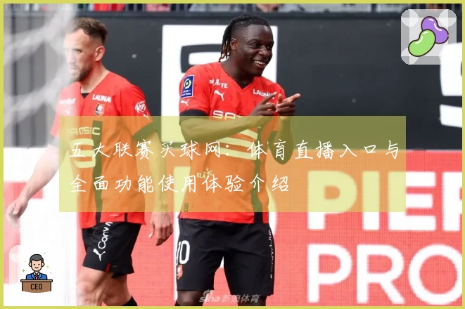 五大联赛买球网：体育直播入口与全面功能使用体验介绍